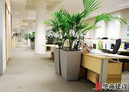 辦公室裝修的五大原則，原來要這樣設計！
