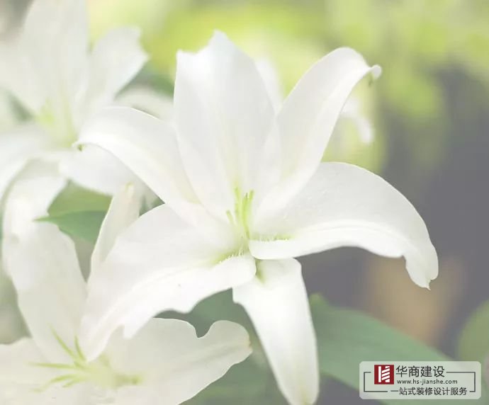 裝修不將就，廣州大型公裝家裝公司更注重細節(jié)